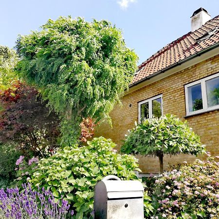 Room In A Danish Cottage With Garden View, 10 Min To Cph Gentofte Exteriér fotografie